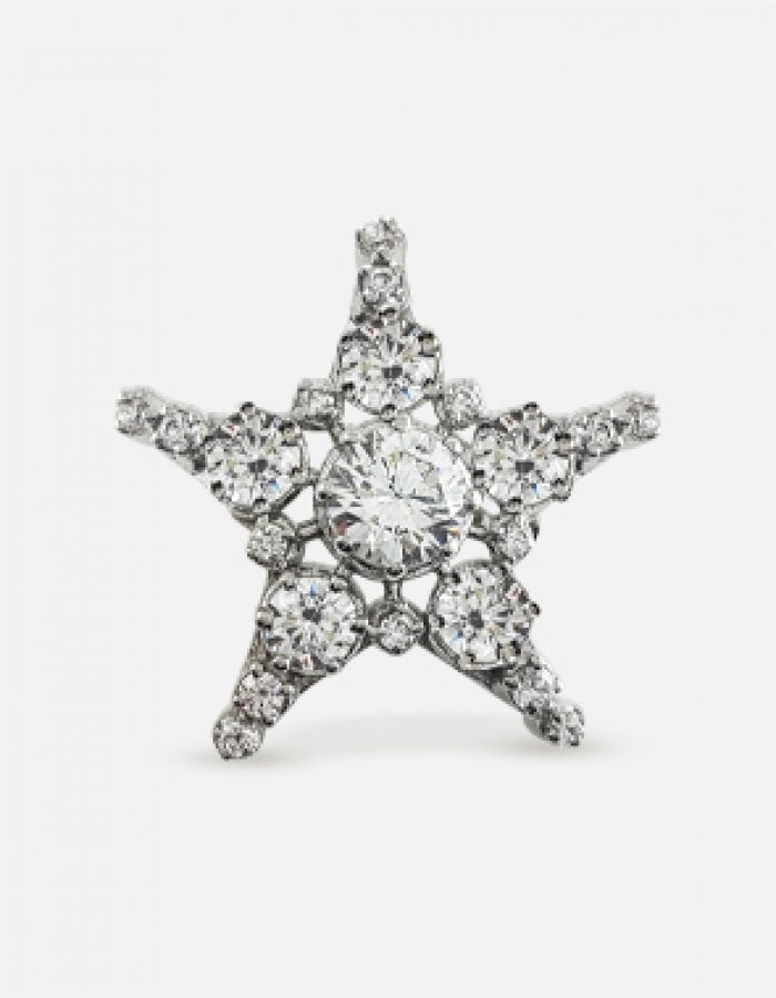 star brooch